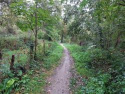 Single au bord du Cosson