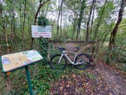Fin du Single au bord du Cosson