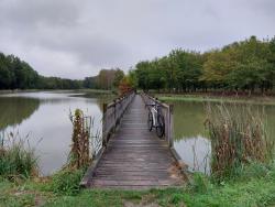 Ménestreau en Villette, les étangs