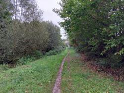 Single au bord du Cosson