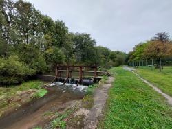 Single au bord du Cosson