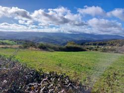 Paysage