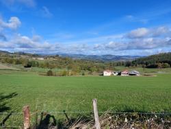 Paysage