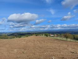 Paysage