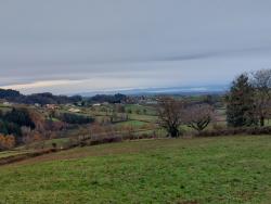 Paysage