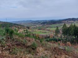 Paysage