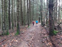 Traileurs en sous-bois