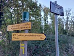 Sentier de la Pirotte