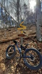 VTT-38719