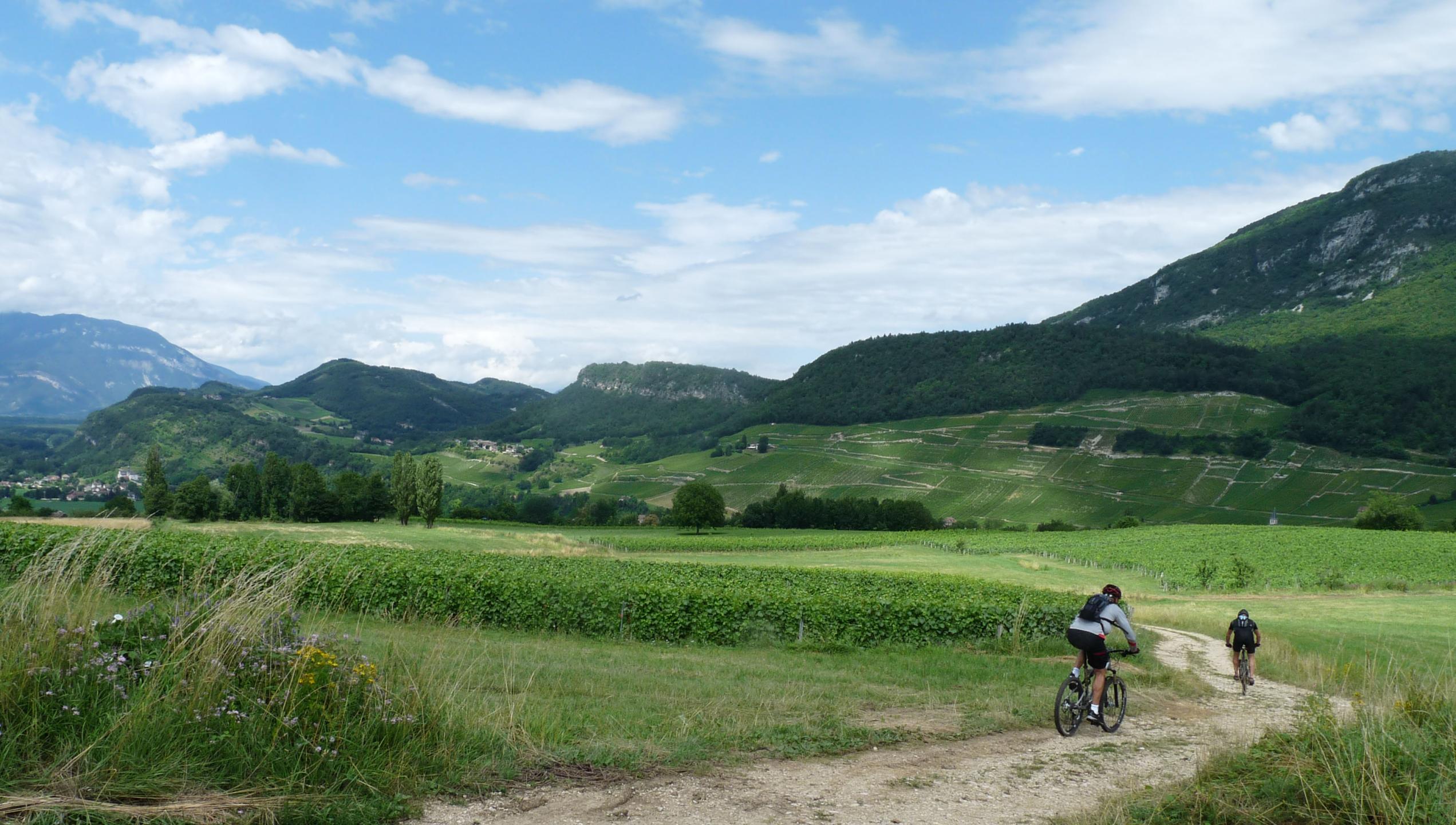 VTT-FFCT Pays du lac d'Aiguebelette - Circuit N°19 : Vignoble de Jongieux