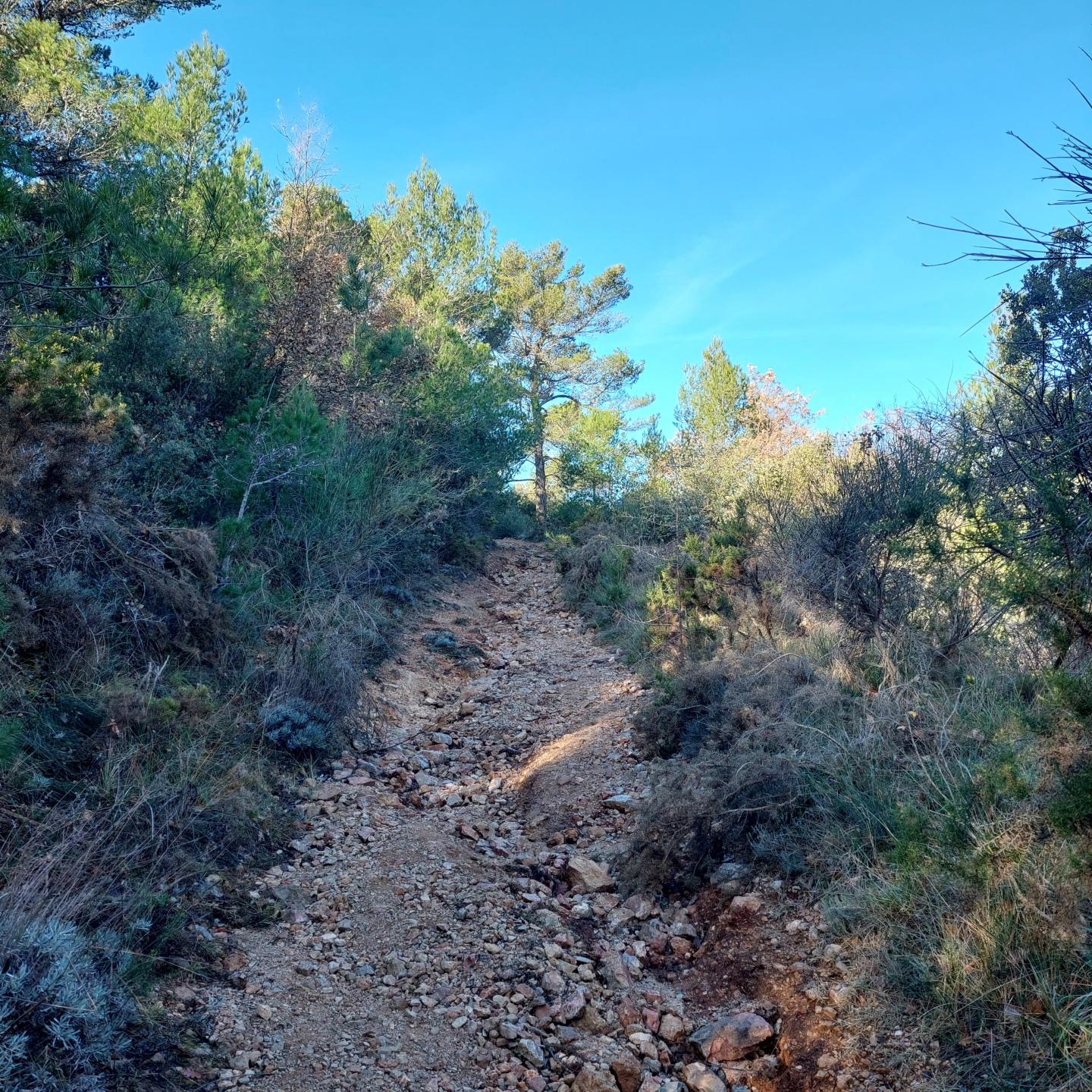 Mont Aurélien