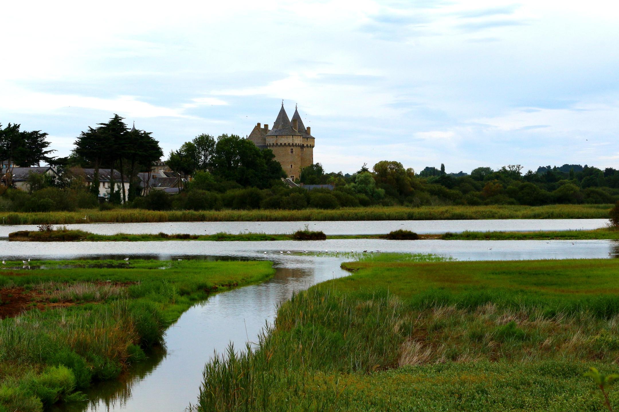Noyalo - Château du Plessis Josso