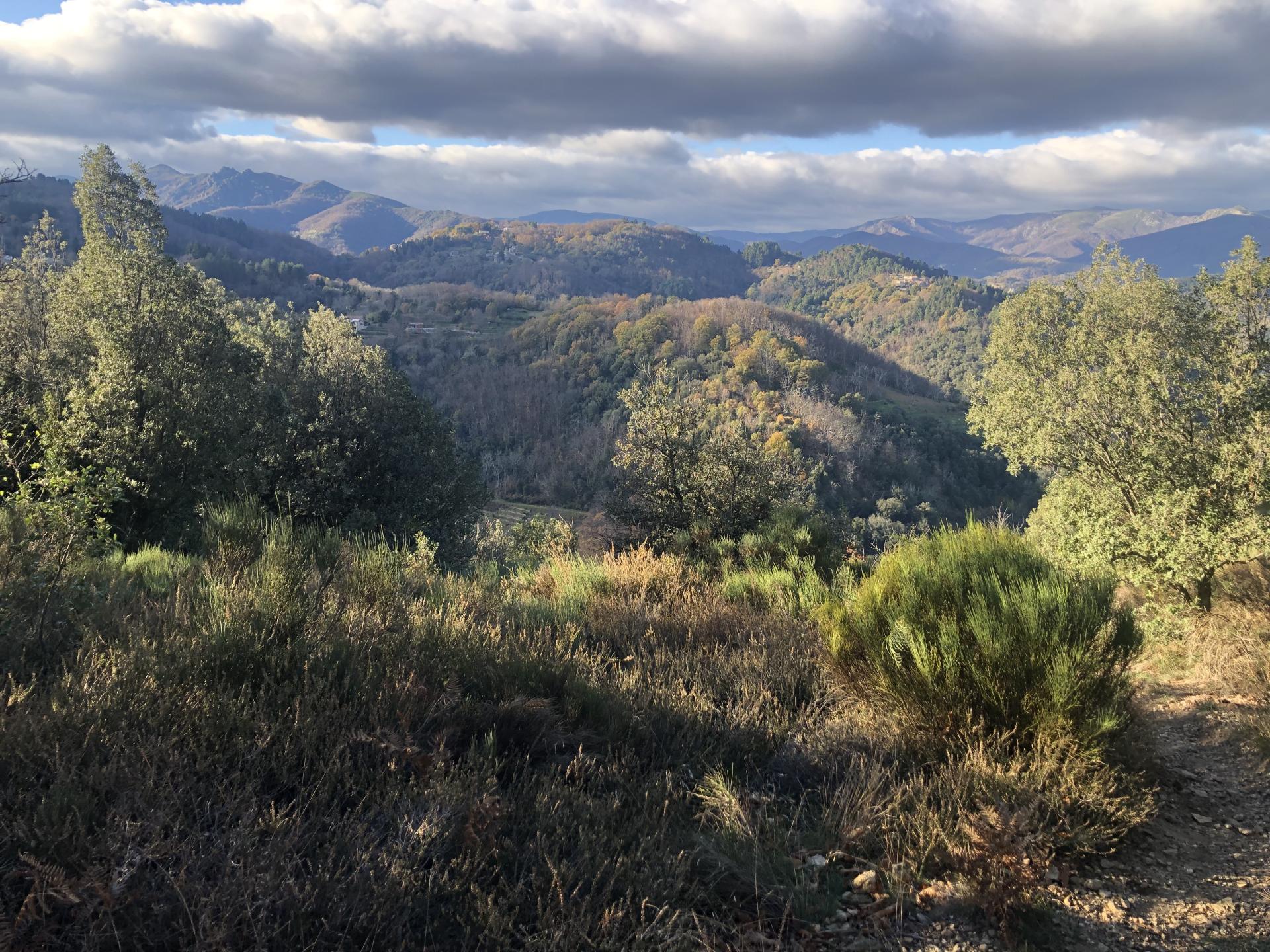 Puy de Prades