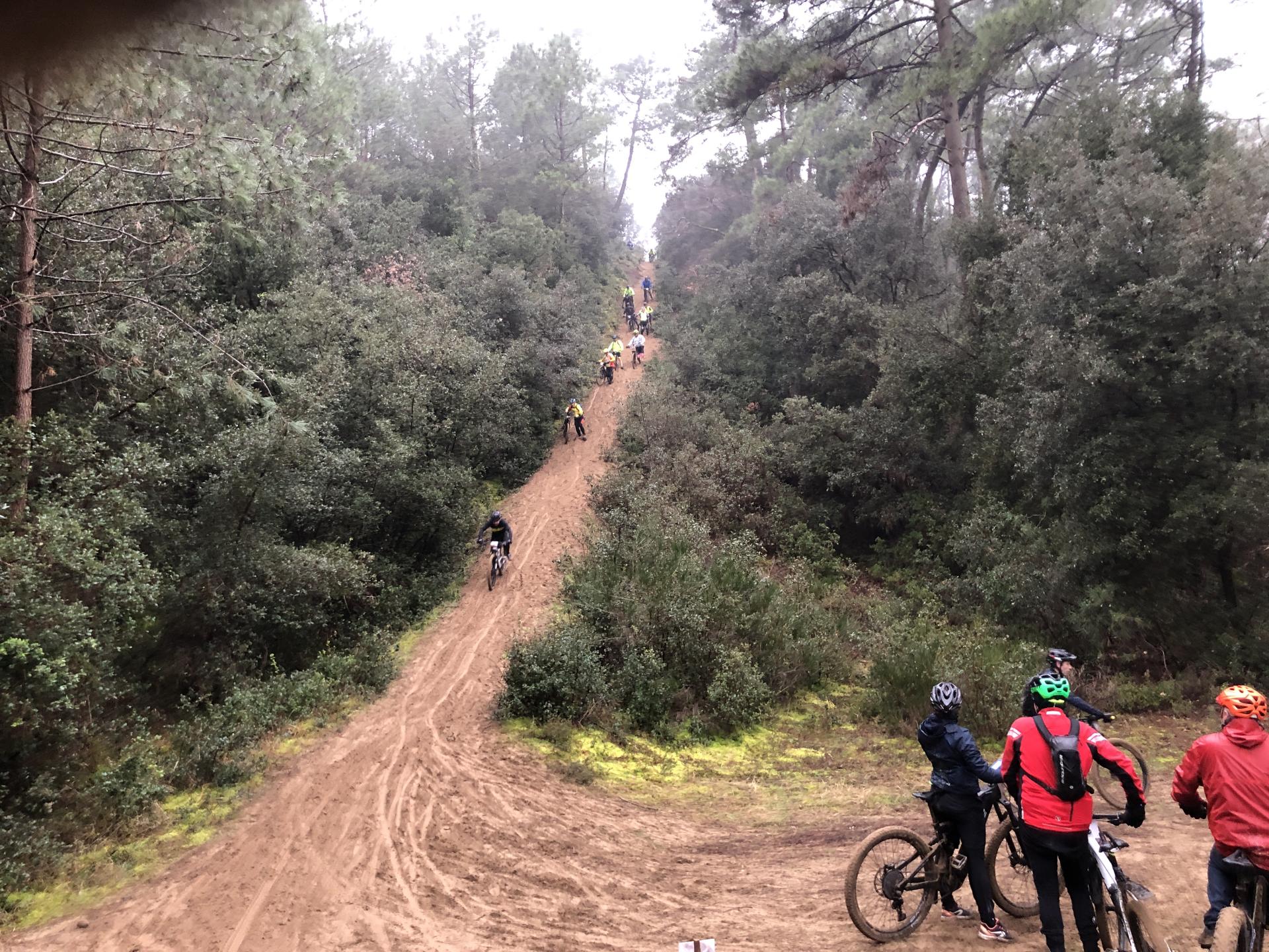 Rando Raid des Ajoncs 2024 - 36 km