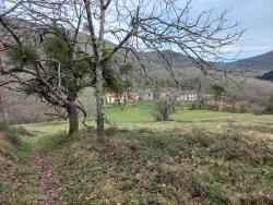 Les Plas d'Arbon