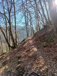Chemin entre Ourde et Ferrère