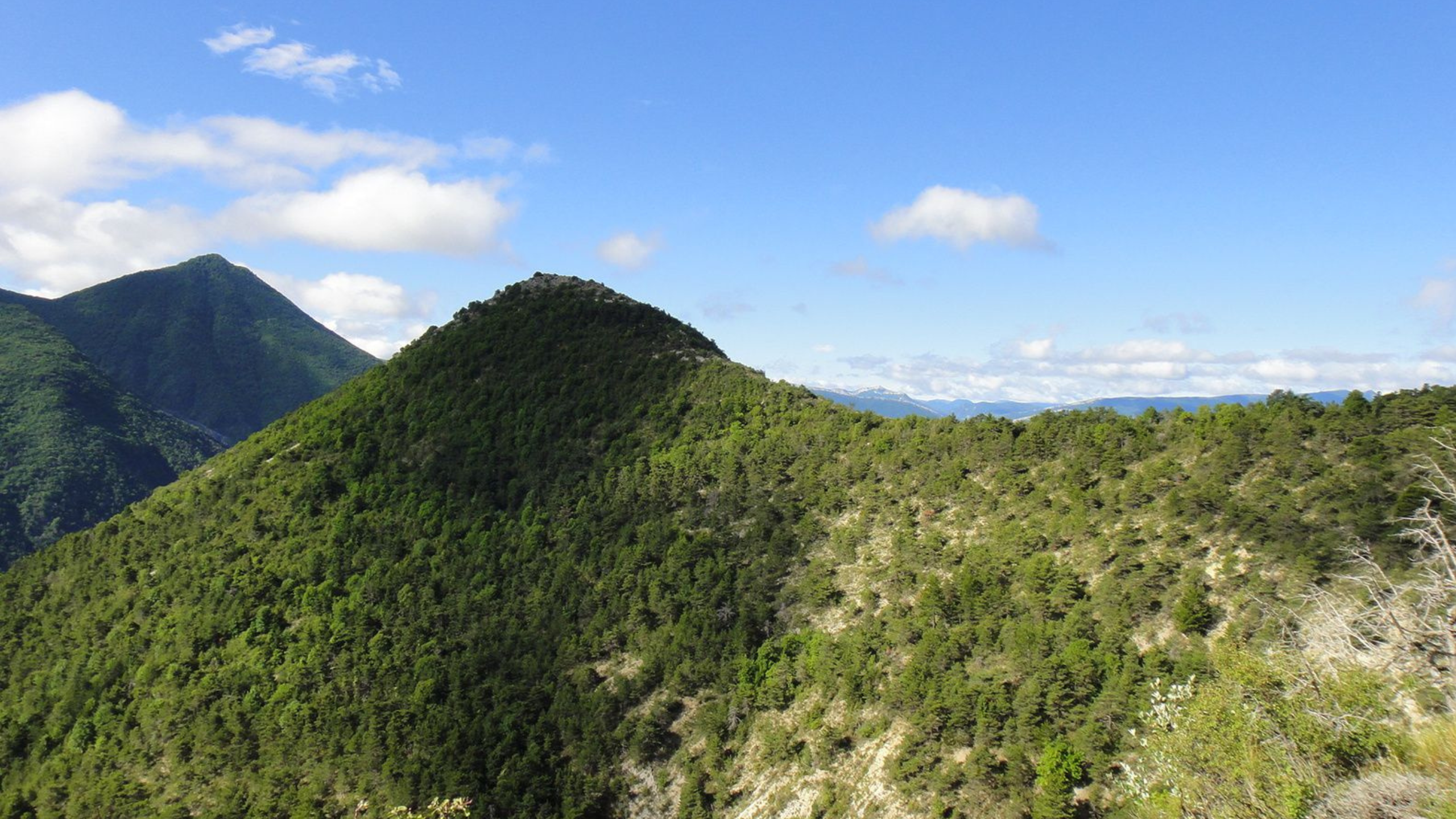 Circuit N° 46 : Les balcons de Durbonnas