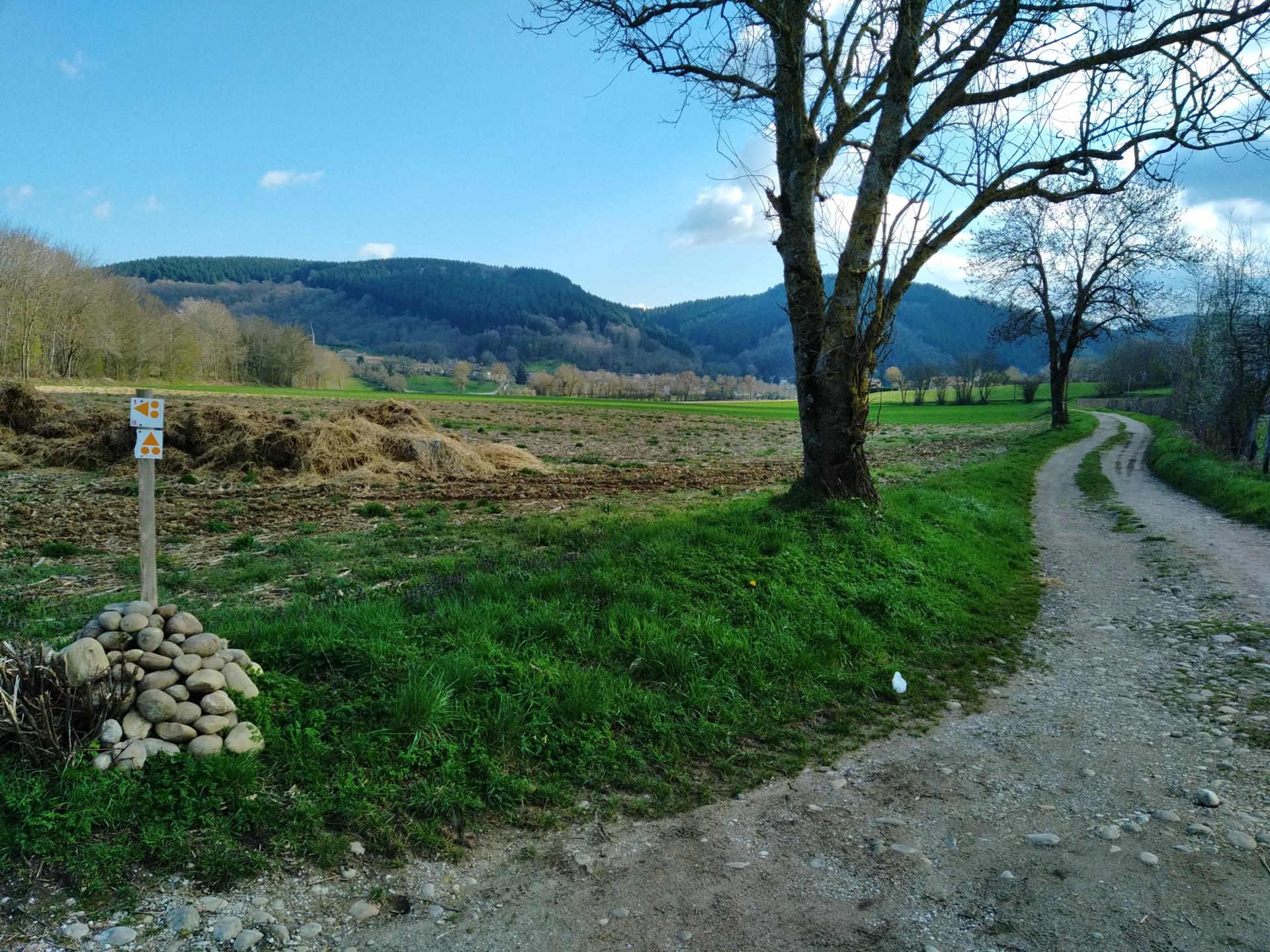 Espace VTT-FFC Pays Voironnais - Circuit n° 92 : Valdolac