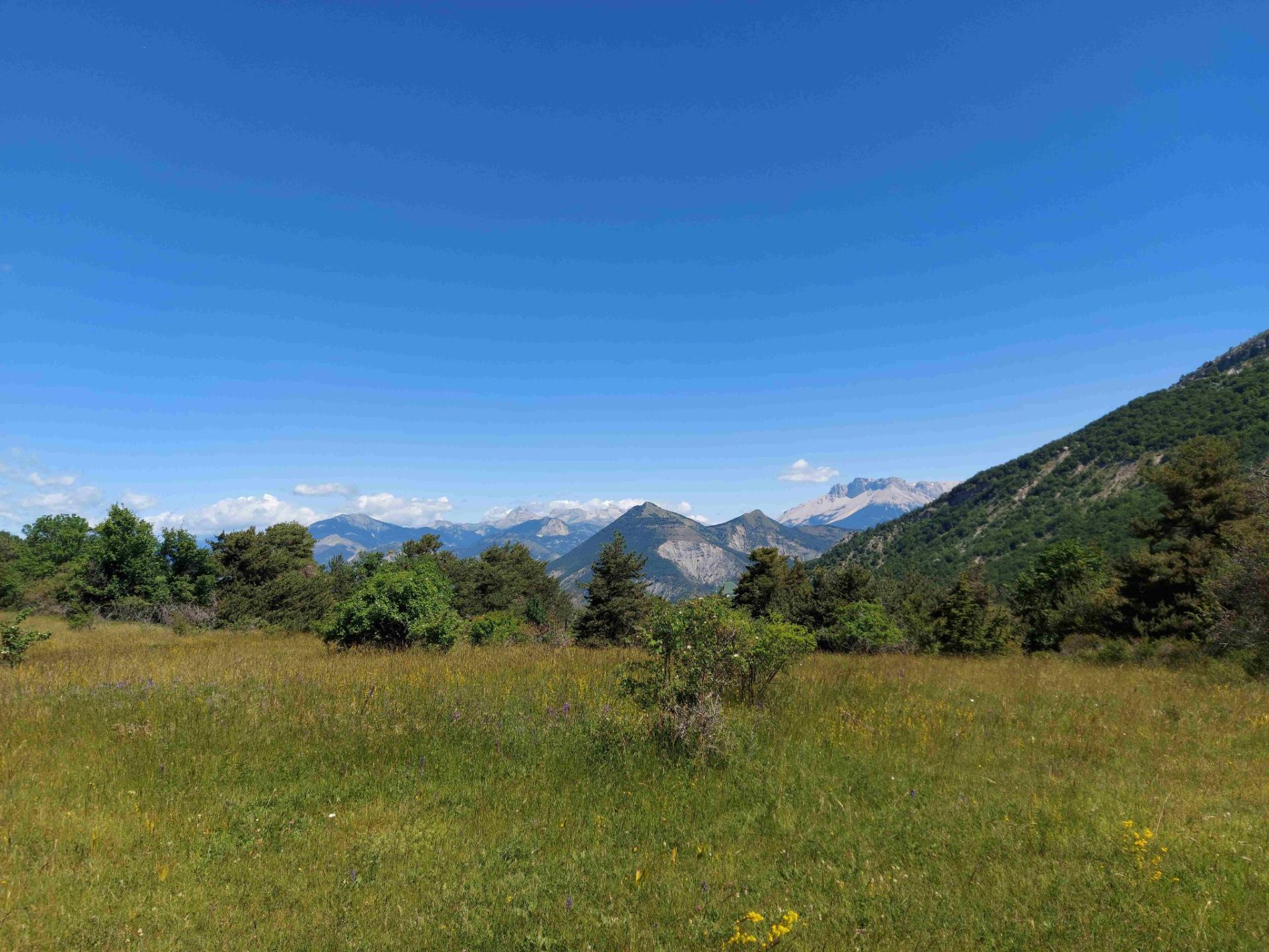Circuit N° 38 : Le tour du Saix