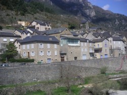 Les Vignes