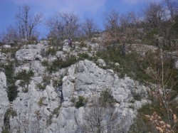 Dans la descente du "sentier de la farine"