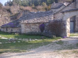 Gîte des Fleurines à Almières