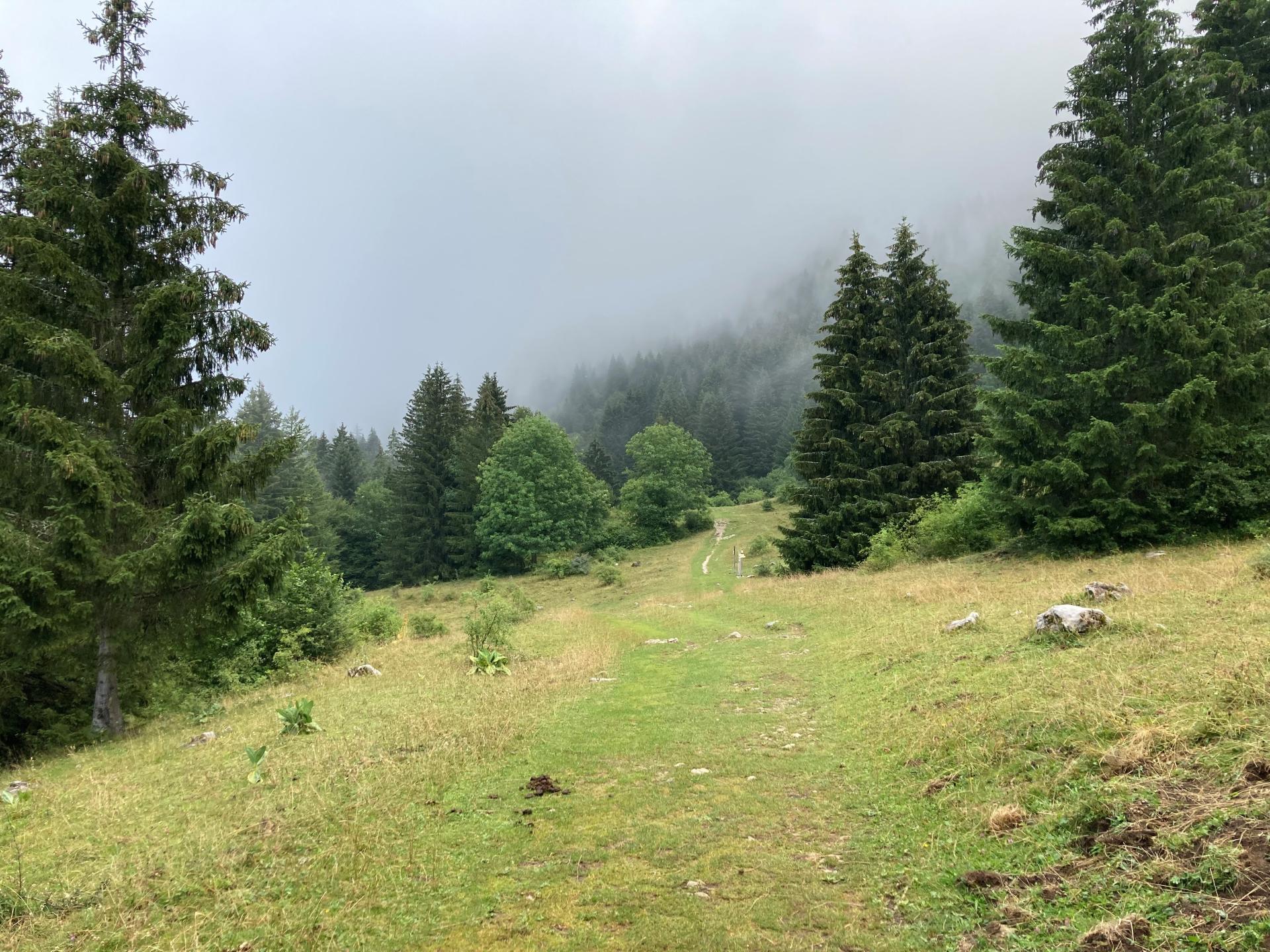 Plateau de Gavot et montée au col de Creusaz