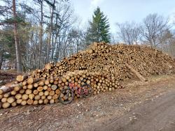 Coupe de bois, hiver très rude ;-)