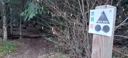 Circuits de l'Espace VTT-FFC du Massif des Bois Noirs au départ de La Loge des Gardes
