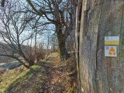 Vers Marymbe, circuits pédestres et VTT-FFC du Roannais