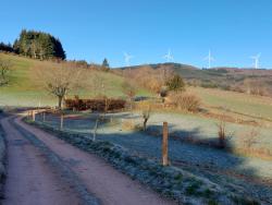 Vue sur les éoliennes du Bois Goutte Chevalier (commune Les Noës)