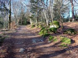 En montant vers le Plan du Grand Jonc