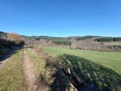 Paysage vers Mary