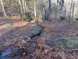 Gué et ruisseau avant le Camping des Myrtilles