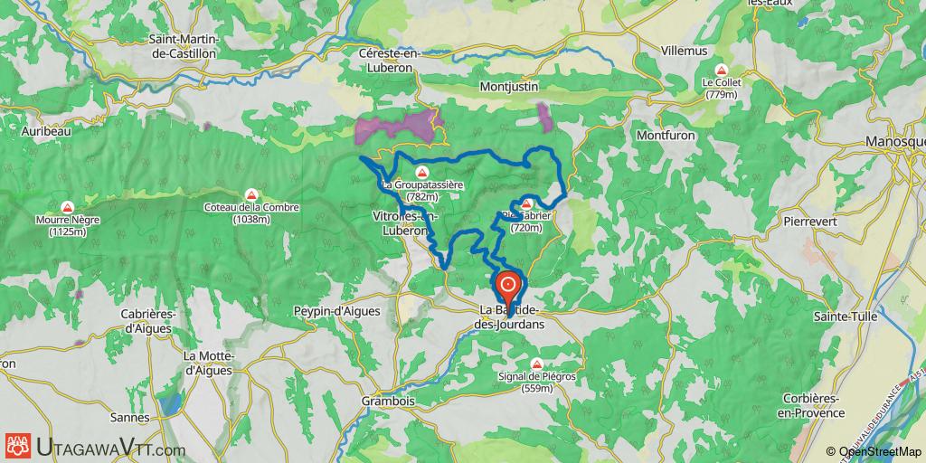 La Bastide-des-Jourdans - Luzerne