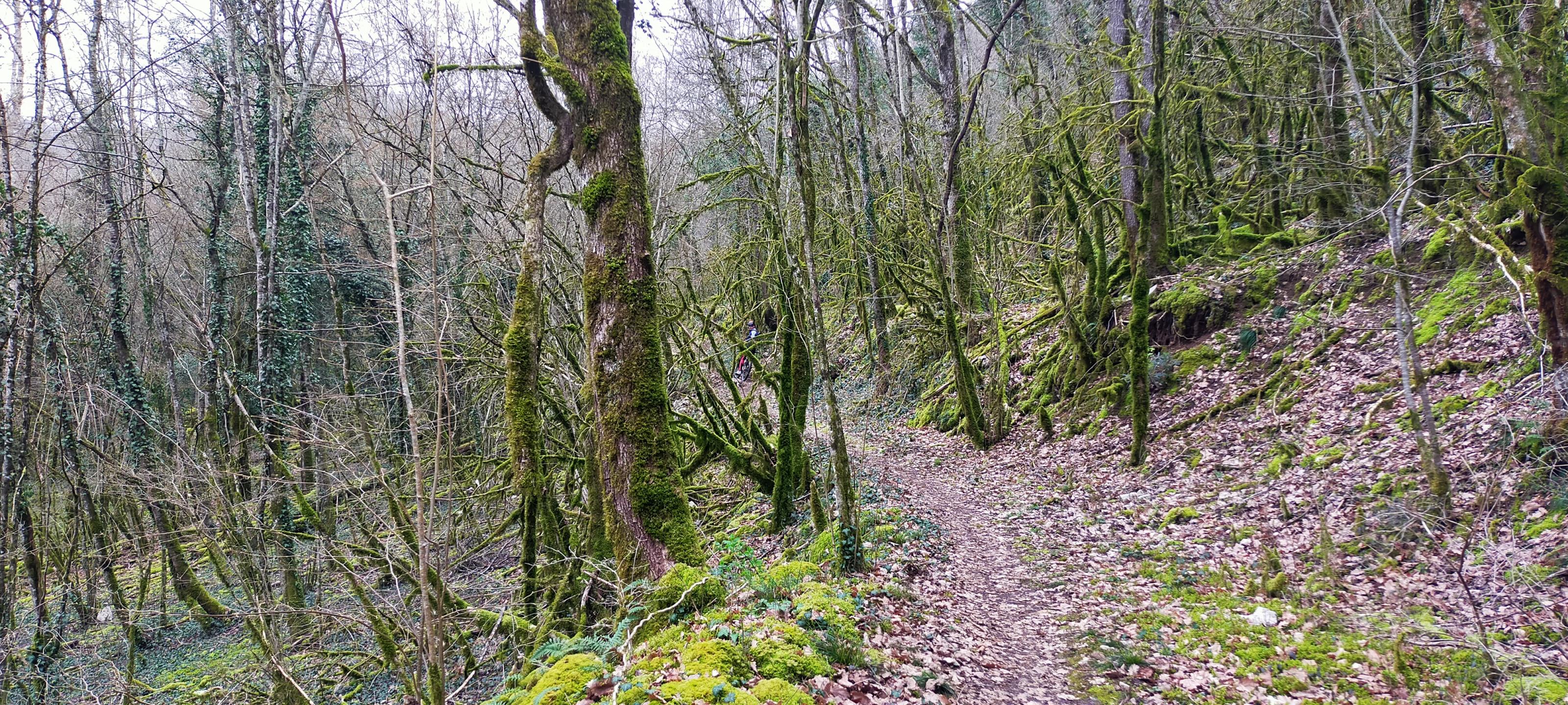 Sous le Mont de la Charvaz
