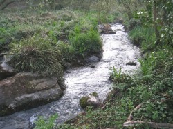 Ruisseau du Lizildry