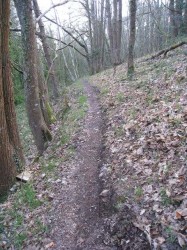 Single longeant le ruisseau de Lizildry