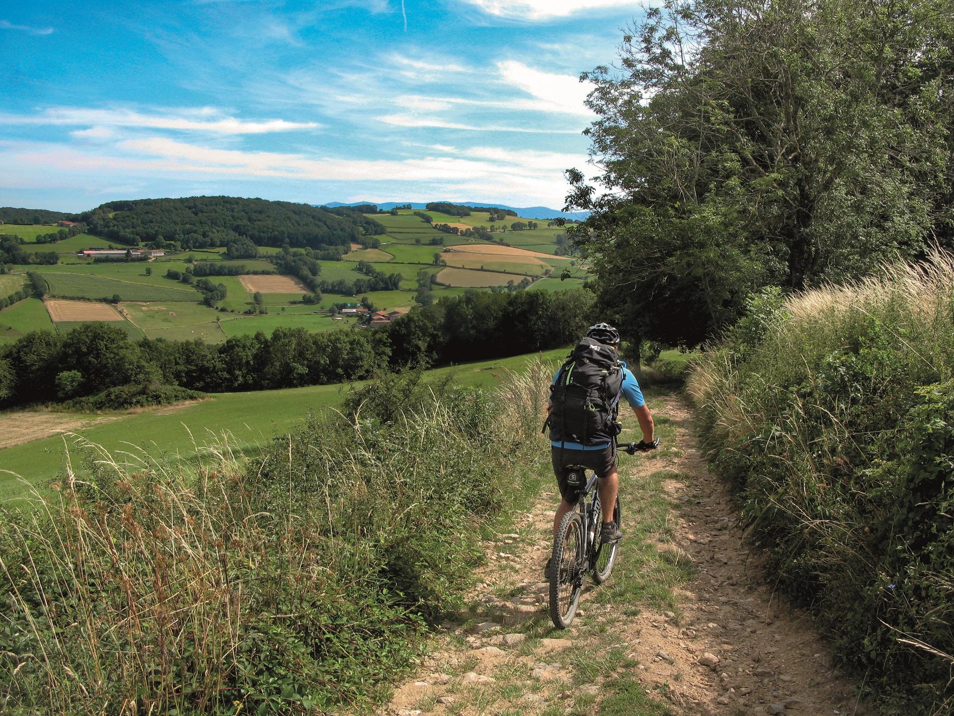 Grande Traversée du Rhône à VTT - Etape 10 : Saint-André-la-Côte - Beauvallon