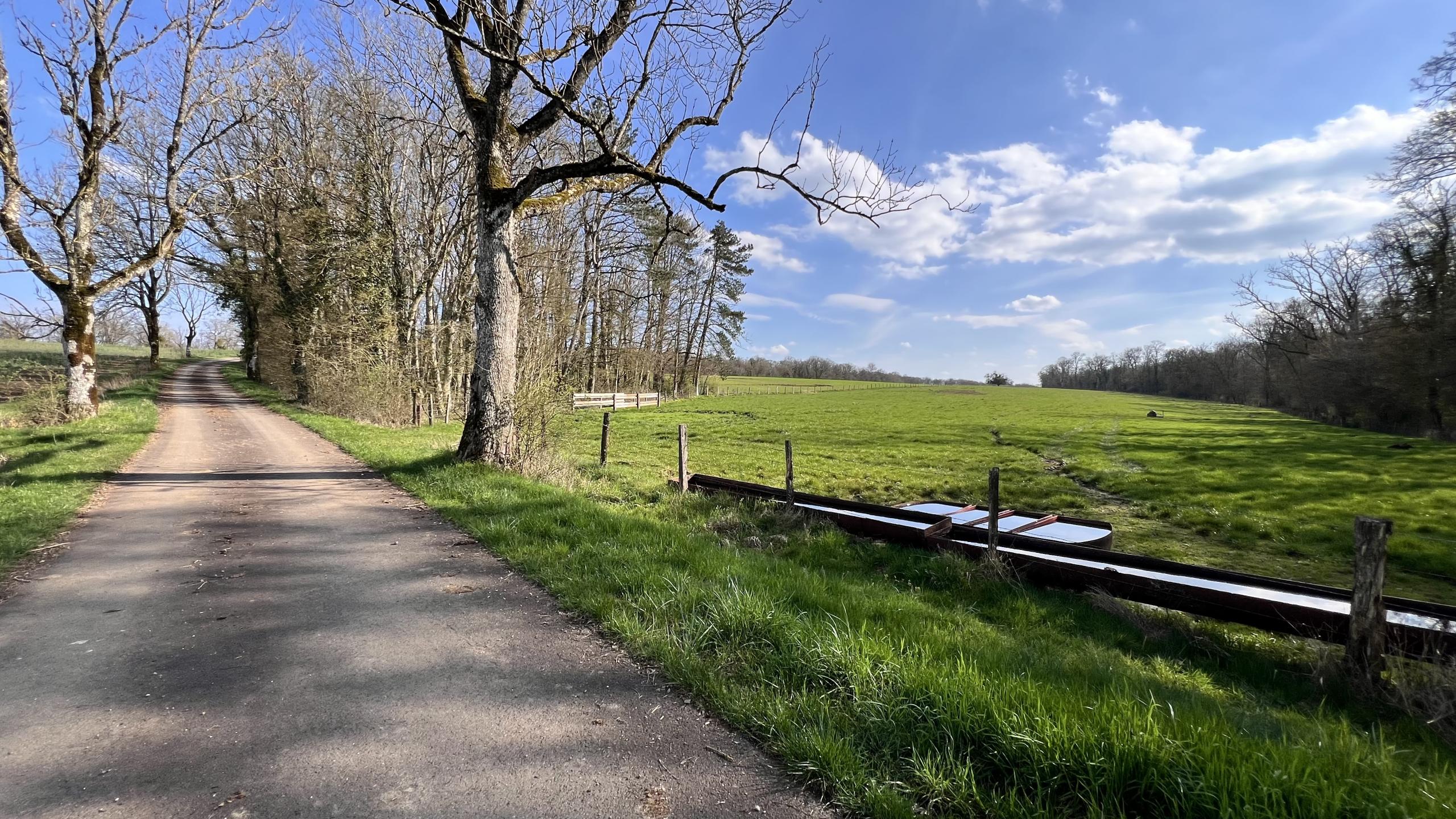 Entre plateau lorrain et Seille
