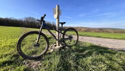 VTT-39463