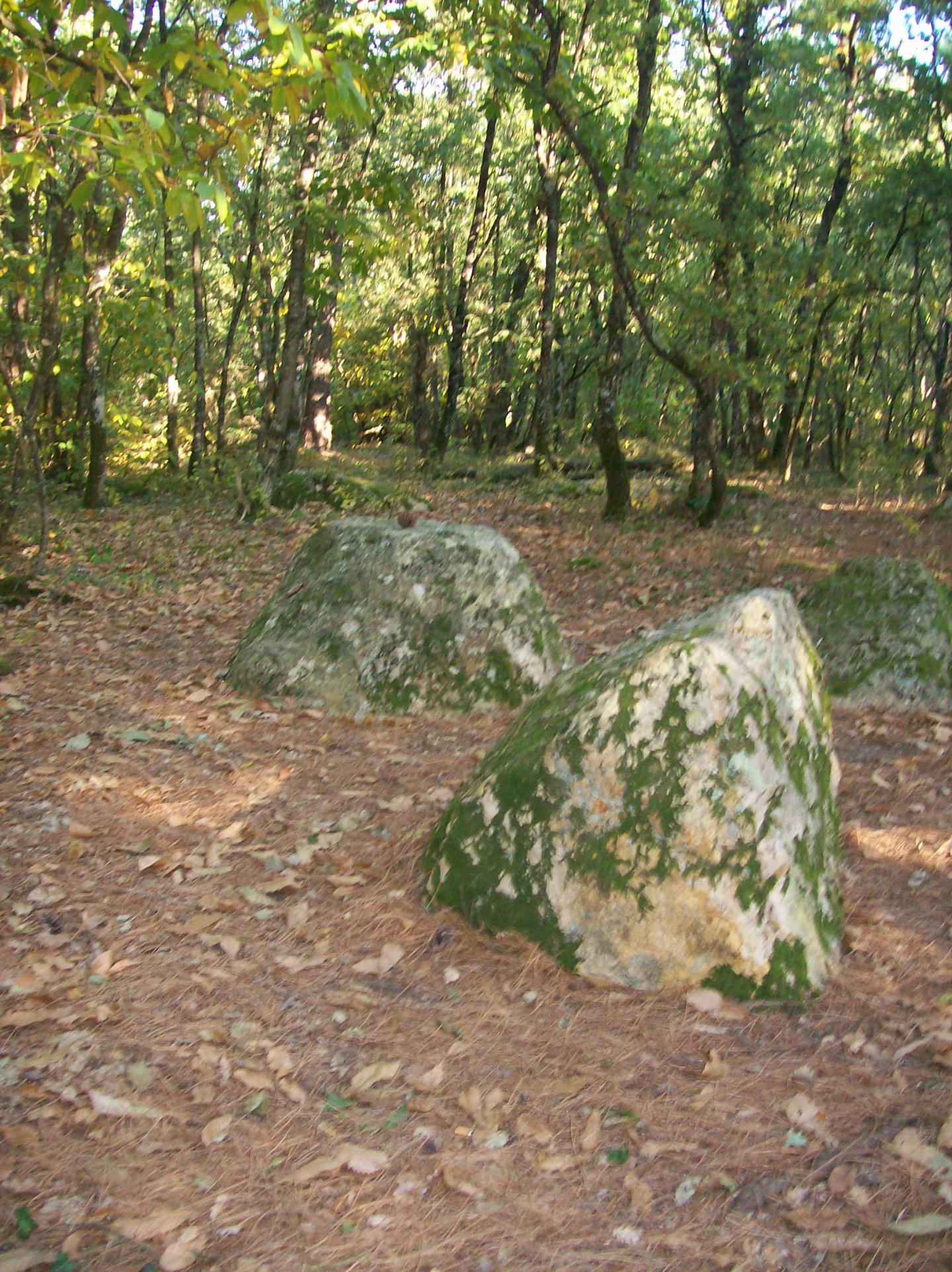 Trèfle du Haut Poitou 5/5 (circuit noir)
