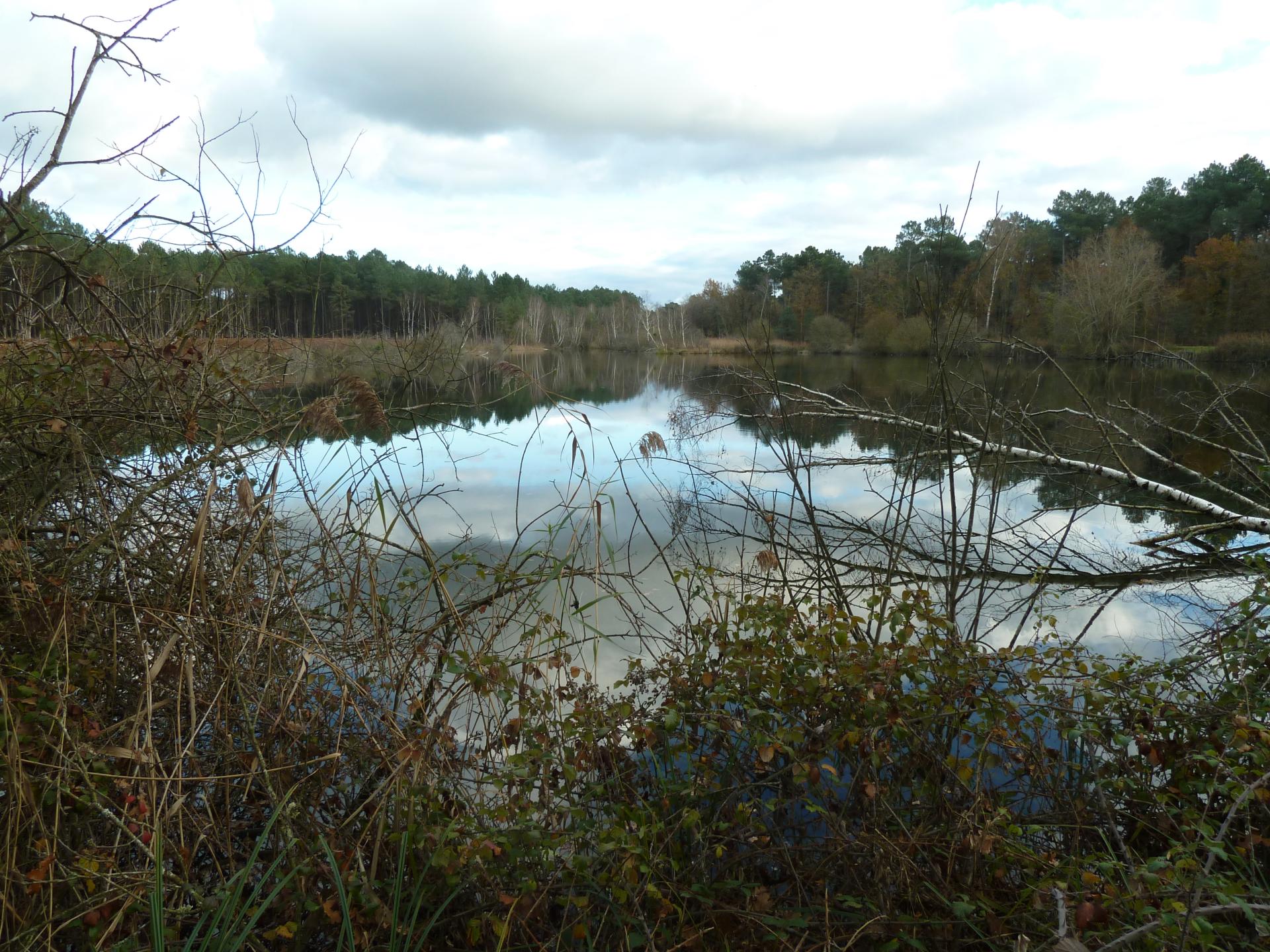 Des étangs de Loudon au Swin Golf d'Yvrelle (Parigné-l'Evêque)
