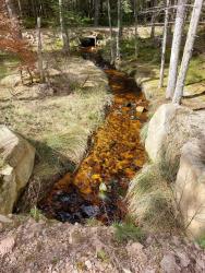 Ruisseau Le Ban (proche de Montloup)