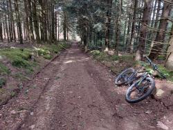 Piste Forestière
