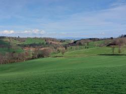 Paysage