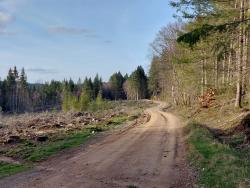 Piste Forestière