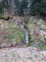 Bois des Crèches, petite chute d'eau