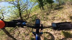 VTT-39688