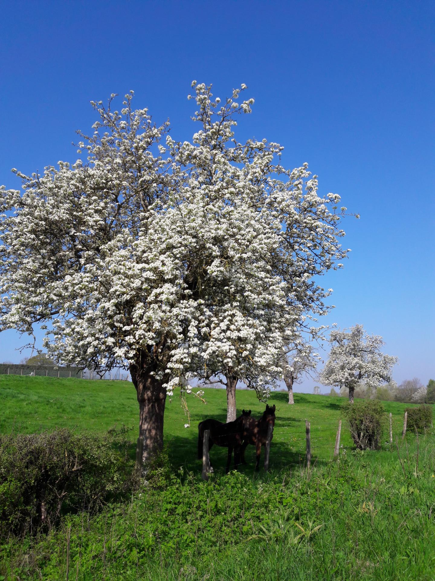 D'une Ferté à l'autre